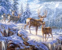 102501 Зимние горы 1000эл.