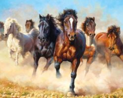 102891 Гром и пыль 1000эл.