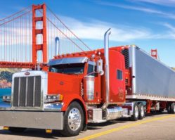 103065 Грузовик 1000эл.