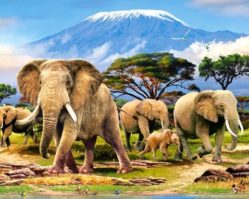 103188 Слоны 1000эл.