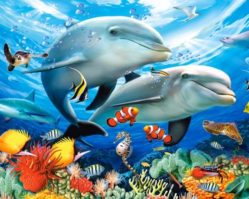 151257 Дельфины 1500эл.