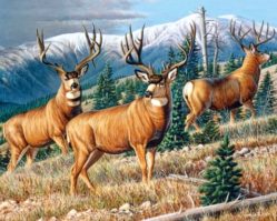 151264 Олени 1500эл.