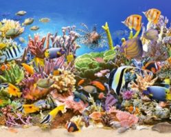400089 Подводный мир 4000эл.