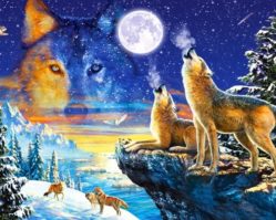 103317 Волки 1000эл.