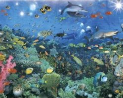 H1018 Подводный мир