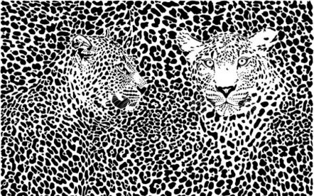 H1548 Леопарды