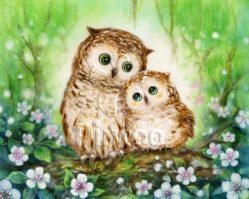 H1685 Лесные совы
