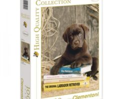 39230 Лабрадор на книгах 1000эл.