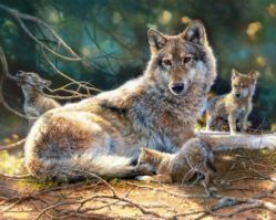 151400 Волки 1500эл.