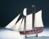 1446 ADVENTURE PIRATE SCHOONER
