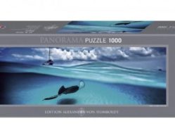 29470 Скат 1000эл.