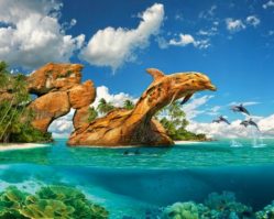 103508 Дельфиний рай 1000эл.