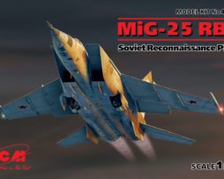48901 МиГ-25 РБТ, Советский самолет-разведчик