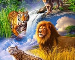 103553 Дикие кошки 1000эл.