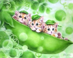 H1684 Веселые котята