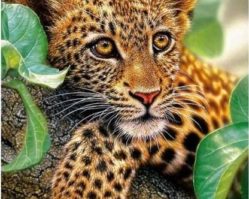 151493 Ягуар на дереве 1500эл.