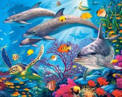 151486 Секреты рифа 1500эл.