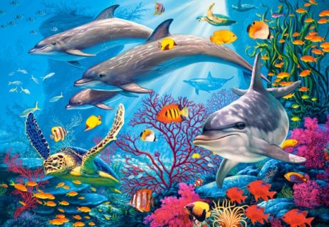 151486 Секреты рифа 1500эл.
