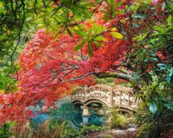 1000эл. Японский сад (C-103768)