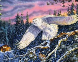 1500эл. Сова (C-151554)