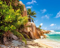 2000эл. Сейшелы (C-200665)