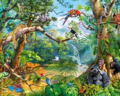 B-52776 Жизнь в джунглях