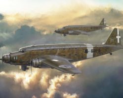 1389 Самолёт SM.82 Marsupiale