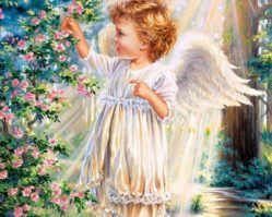 C-103867 Прикосновение Ангела 1000эл.