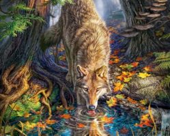 C-151707 Волк в дикой природе 1500эл.