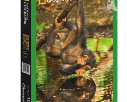 39301 Шимпанзе 1000эл.