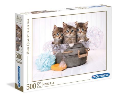 35065 Банный день (котята)