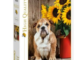 39365 Бульдог с подсолнухами