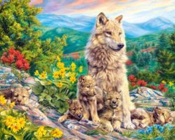 C-104420 Потомство