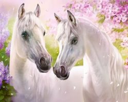 B-030378 Лошади