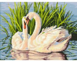 065-AS Навсегда