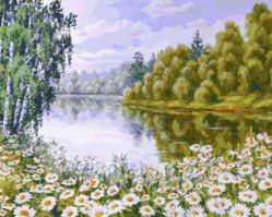 144-AB В ромашковом краю