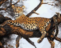 170-AB Леопард на отдыхе