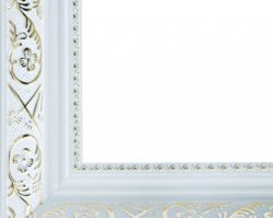 2081-BB Багетная рамка Flora (40х50см)