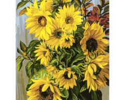 264-AS Отражения солнца