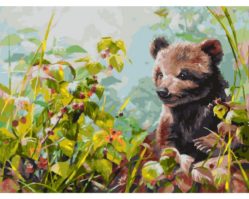 338-AS Любитель малины