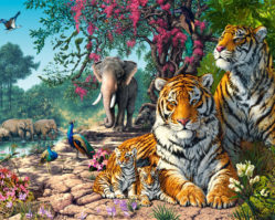 C-300600 Заповедник